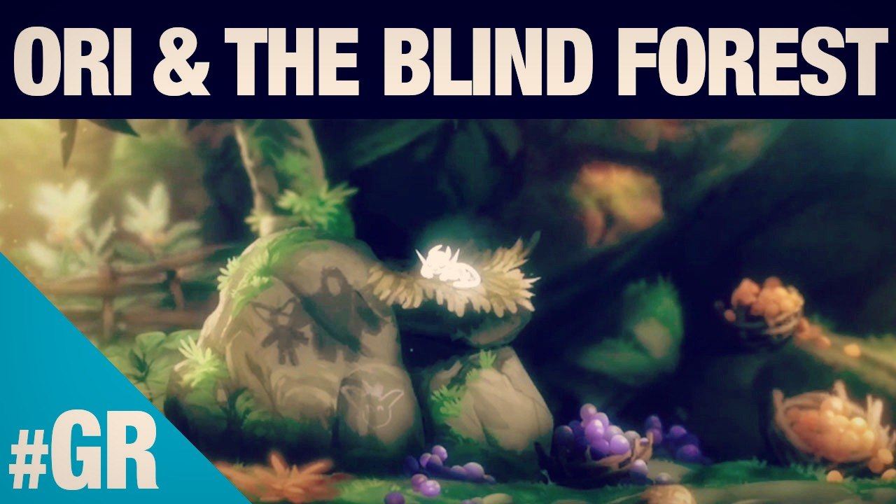Ori and The Blind Forest : Le test