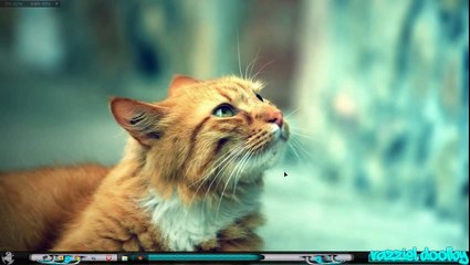 Como Descargar e Instalar Fifa 2011 para PC