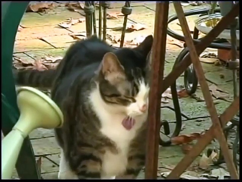 A real-life Ron Burgundy moment