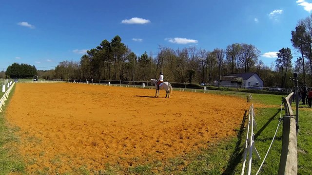 Dressage à la Flèche (72). Chloé et Reve en RLM.