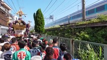 隅田川神社　大祭　本社神輿と東武・特急電車の4年に1度の遭遇　2014年　東京・墨田区　portable shrine  (  Sumidagawa shrine in Sumida, Tokyo)