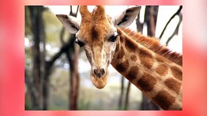 Top 10 Nairobi Adventure Tours