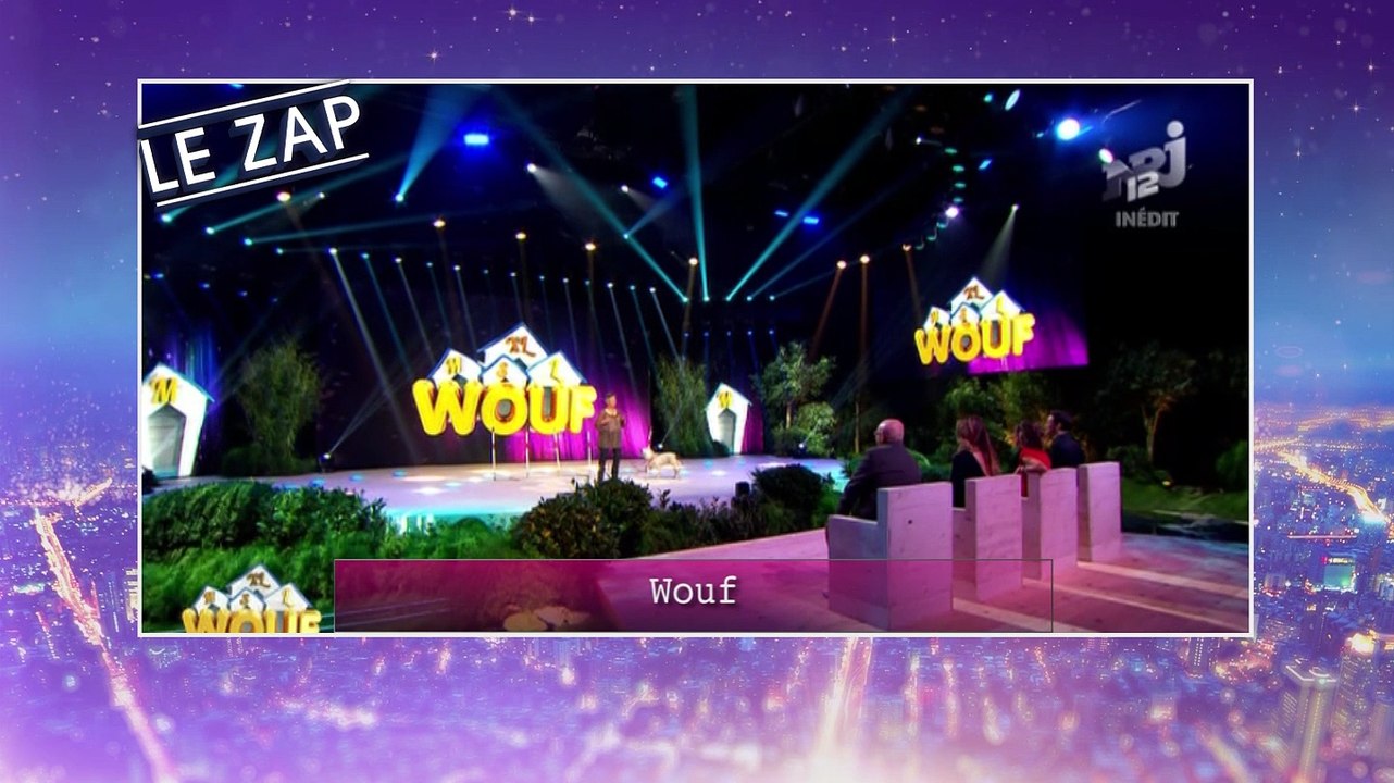 WOUF : le nouveau programme dédié à nos amis à quatre pattes