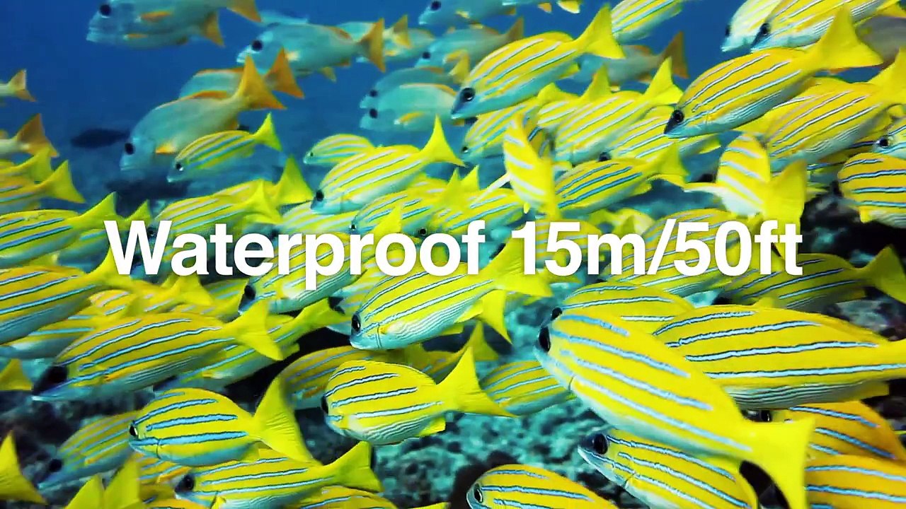 Présentation Olympus Stylus Tough TG-4