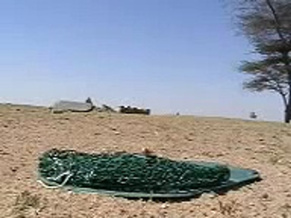 موسم صيد الطيور