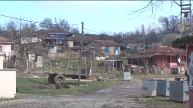 Doğal Antibiyotik: Propolis