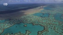 Great Barrier Reef Threatened by Coal Mining