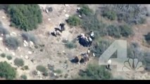 Des policiers de Californie se passent les nerfs sur un voleur de chevaux!!!