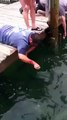 You will not believe! A man becomes the prey of a huge fish