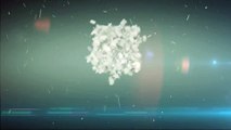 After Effects Project Files - Winter Snow Particles Logo Reveal 2 - VideoHive 9571783