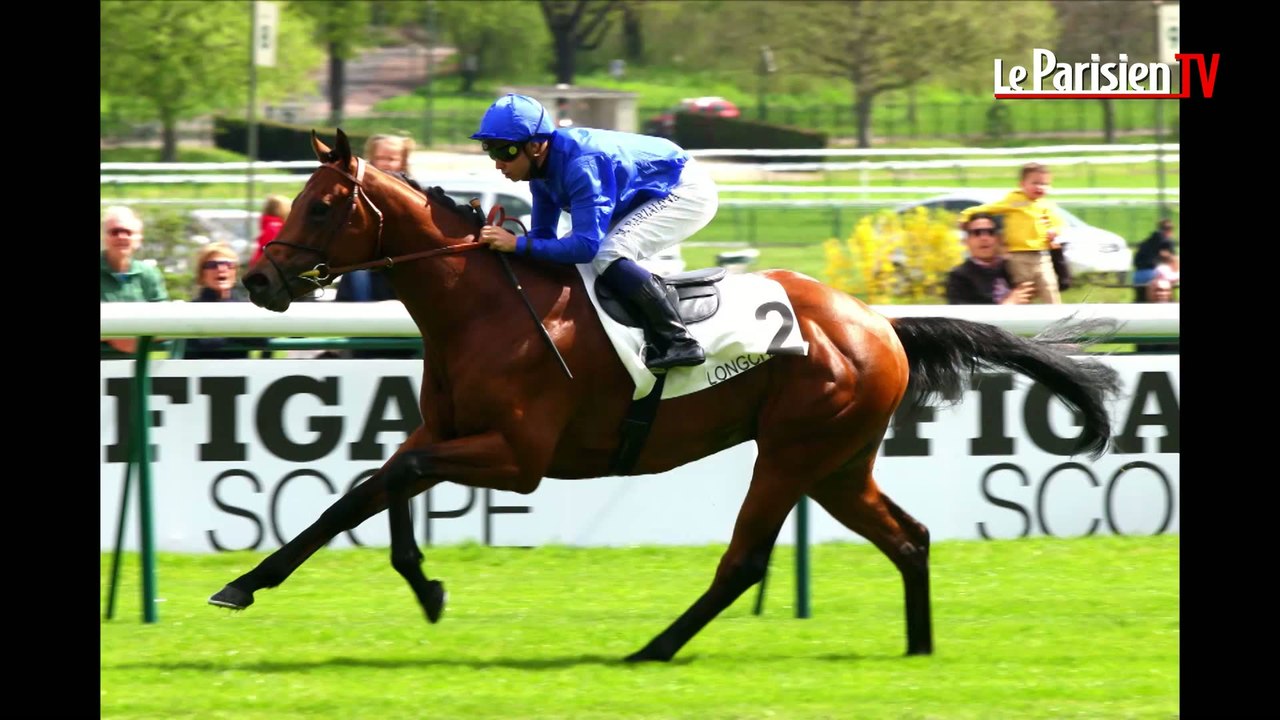 L'écurie du Parisien. Les exploits du week-end à Longchamp et Vincennes