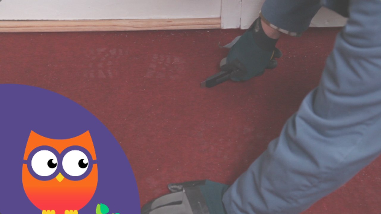 Comment enlever de la moquette (Ooreka.fr)