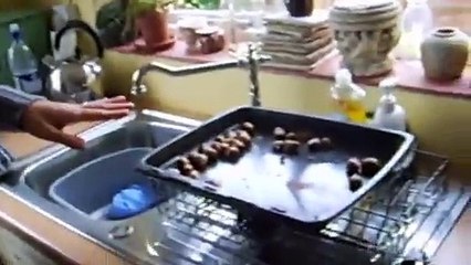 Fails avec explosifs et feux d'artifice...