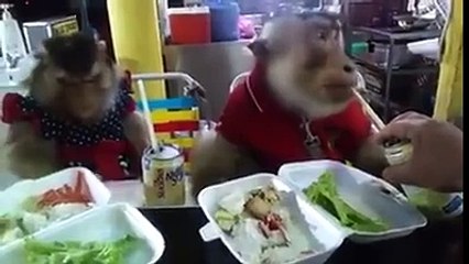 أقوى كوبل تشوفو في حياتك ههه مش نورمال