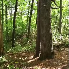 طرزان عاد من جديد، أووو