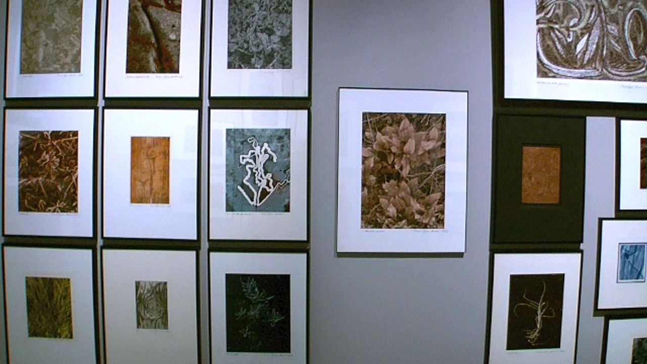 Exposition : La nature, le corps et l'ombre de Pierre-Jean Amar