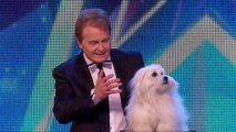 Dunya News - Britain's Got Talent's talking dog Miss Wendy