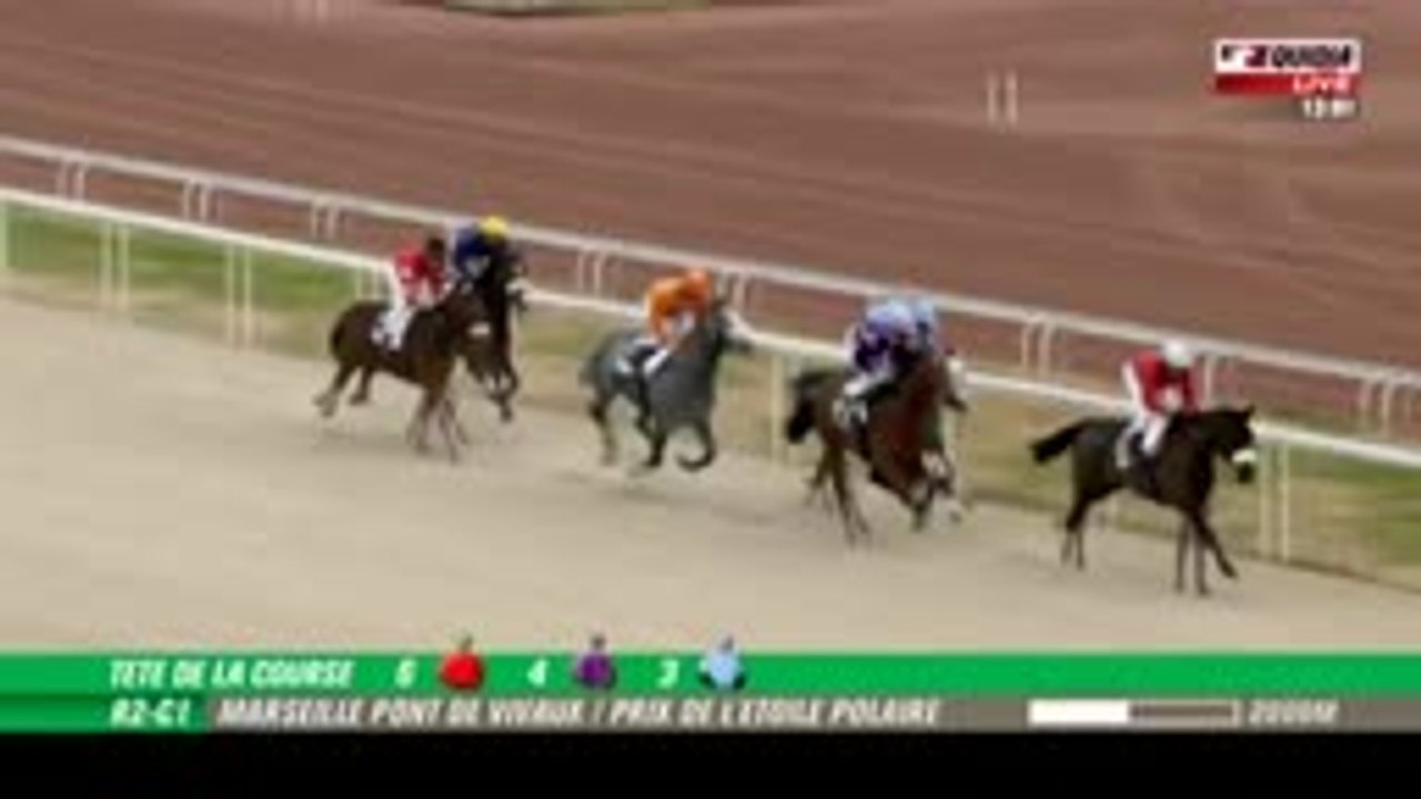 equidialive