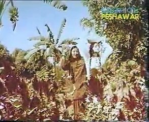 DA WALAY NAN MANGAY PA SAR RAWANA A ZANGEGAY Pashto Movie MULTANAY NIMMI