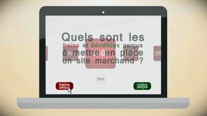 Baromètre e-commerce des petites entreprises