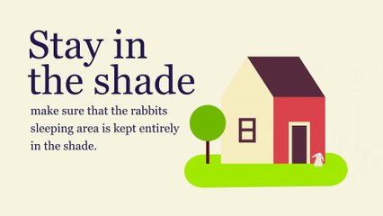 Keeping Rabbits Cool In Warm Weather