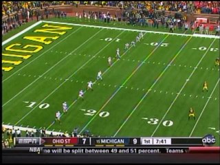 Ohio State vs. Michigan Football Brawl 2011