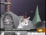 Gatitos Navideños