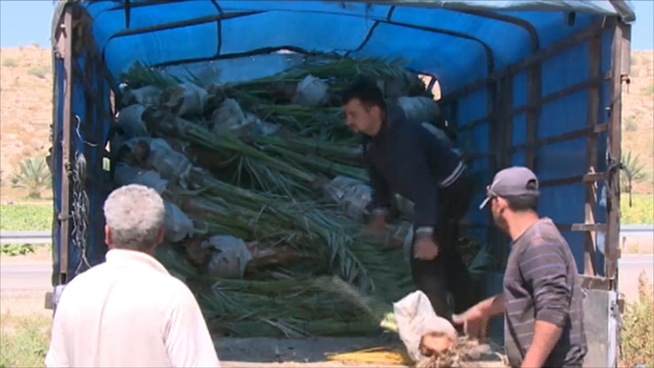 مشروع زراعي بالضفة الغربية للدفاع عن حق الفلسطينيين