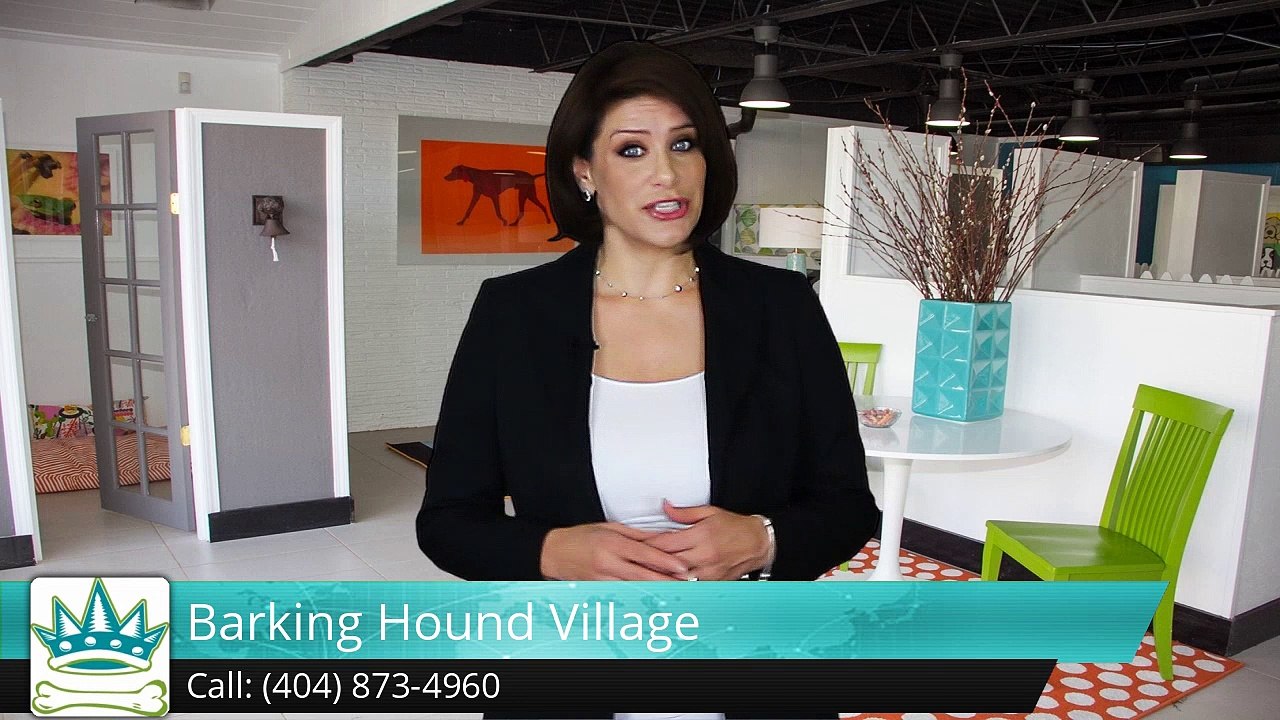 Atlanta David York Barking Hound Village (404) 873-4960 Exceptional 5 Star Review