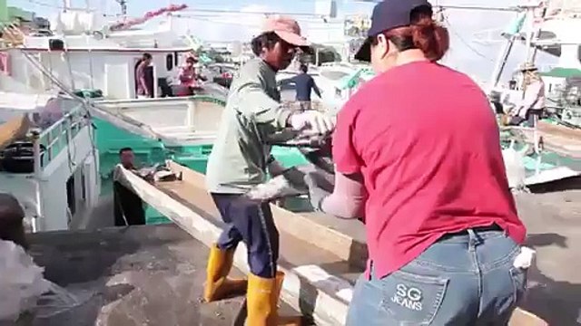 Ces images vous dégoûteront d’être un humain.