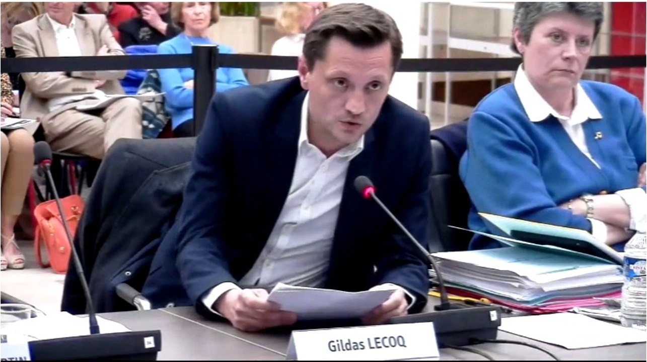 Fontenay : Intervention de Gildas LECOQ sur le budget 2015
