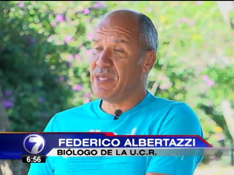 Según ambientalistas, cultivos transgénicos podrían causar desastre ecológico