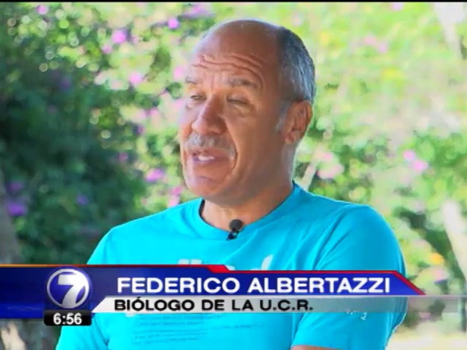 Según ambientalistas, cultivos transgénicos podrían causar desastre ecológico