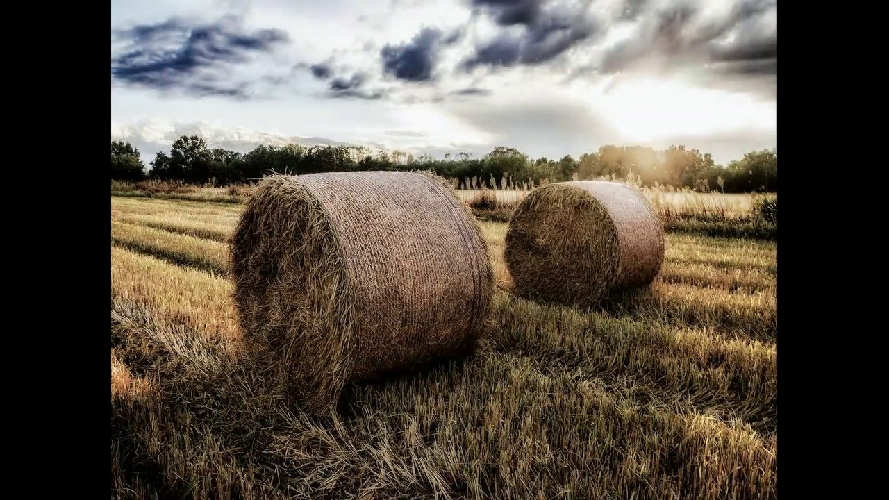 Attendances (The Cure - Three Imaginary Boys) FULL HD 1080p