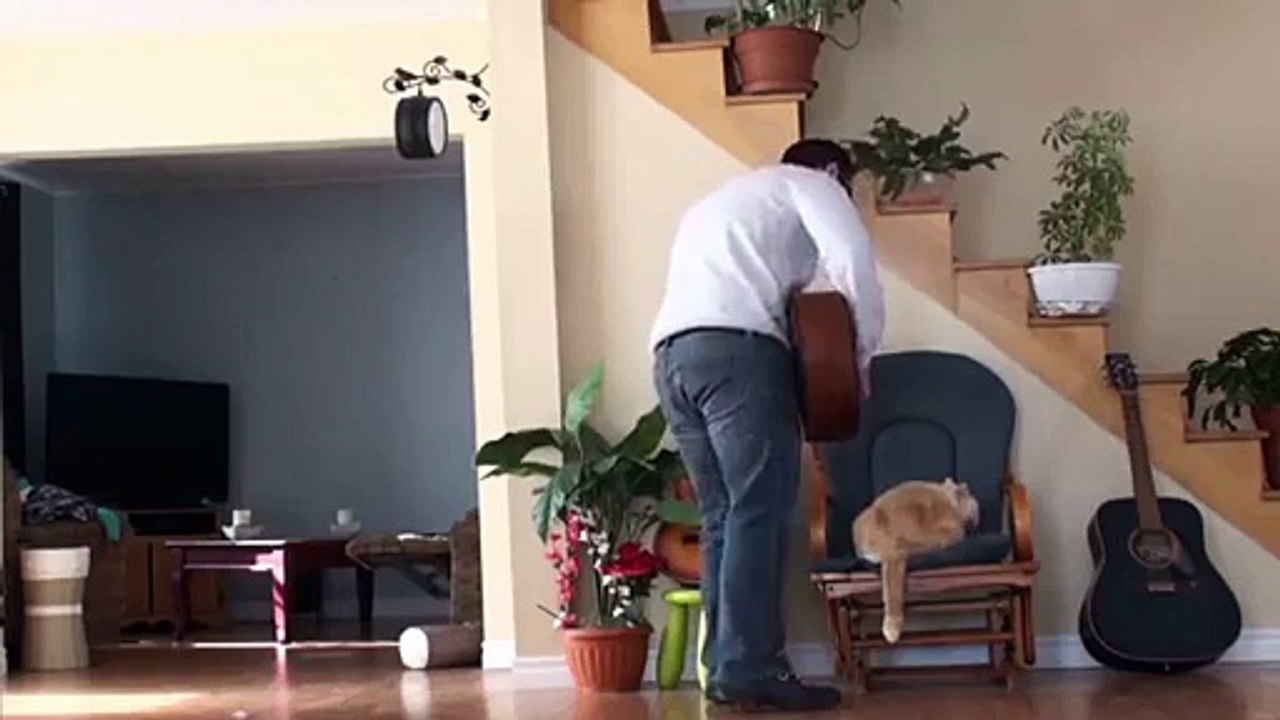 Il vire son chat et ce dernier lui fait payer le prix.