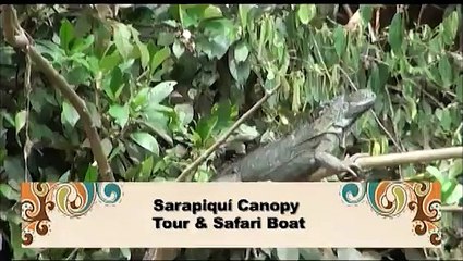 Johanna Solano nos muestra Heredia