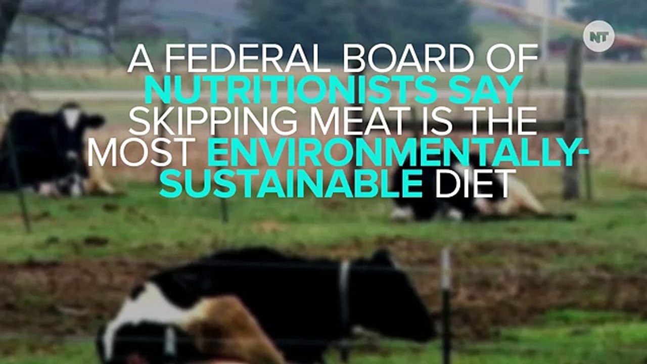 Going Vegan Can Help Combat Climate Change