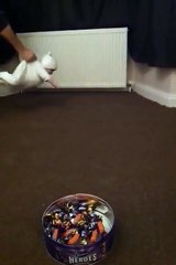 I'll marry just to do this By Lame Brown Dude (Ali Sufyan Wasif)