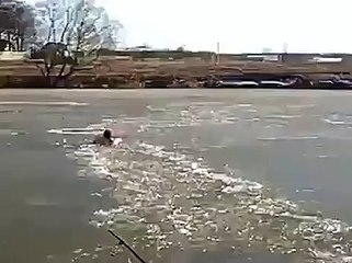 Guy jumped into freezing water to rescue dog - hats off