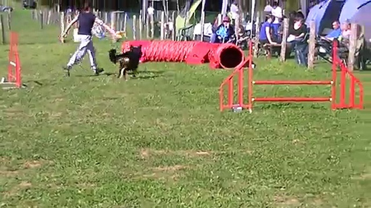 Concours agi Rillans - jumping