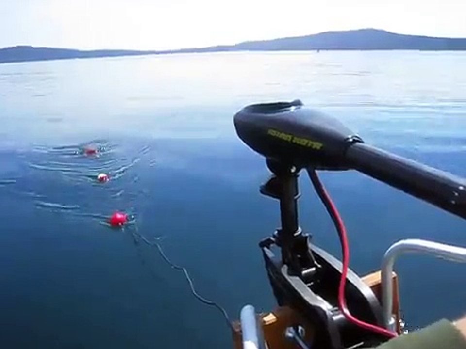 Intex Inflatable with 55 lbs trolling motor