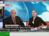 Polar Bear Knut on CNN and Prosieben - Eisbr Knut