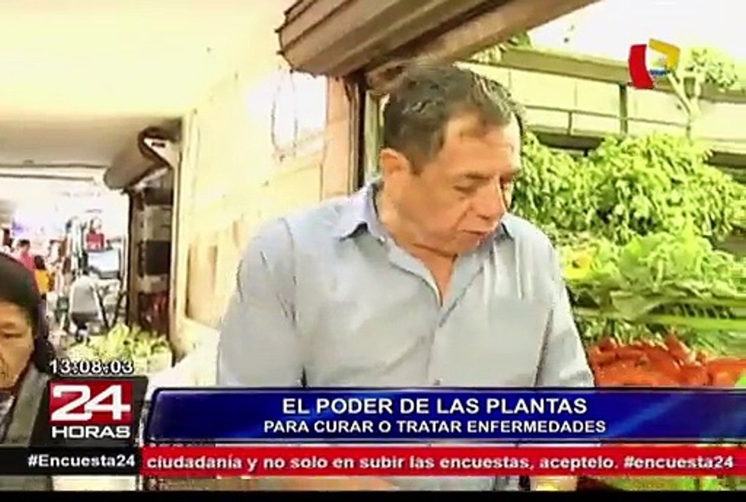 Naturología: el extraordinario poder curativo de las plantas medicinales