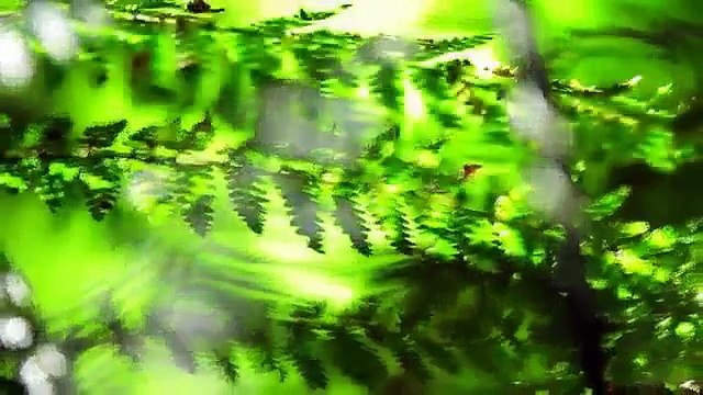 Huzur verıcı goruntuler ve huzur verici bir muzik