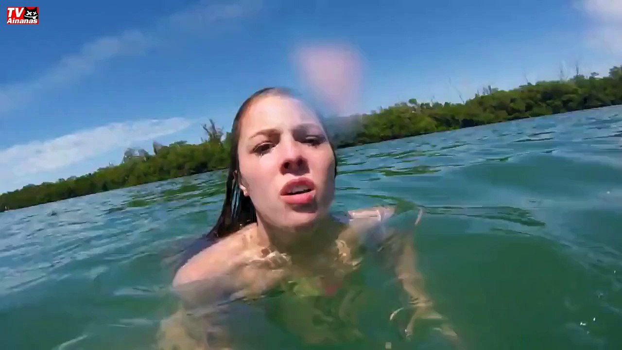 manatee