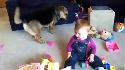 Babies Laughing at Dogs