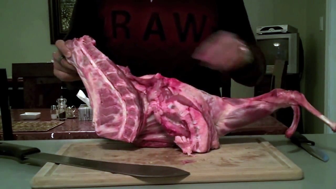 Raw Feeding Tutorial