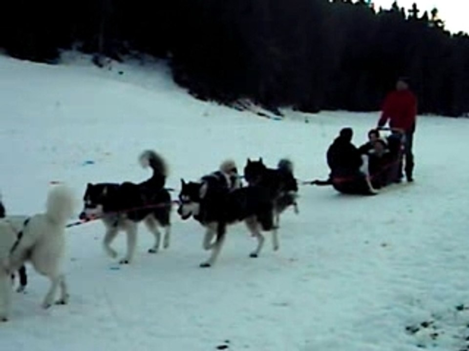 yoann et jenny chiens de traineau Jura