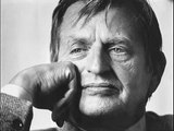 Olof Palme därför är jag demokratisk socialist