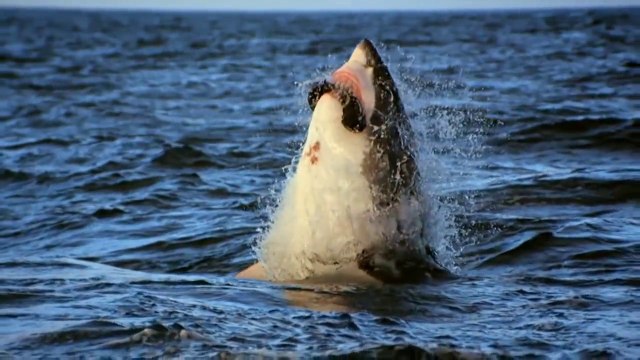 Ea Of The Deepwater (Violin & Music by Vanessa Mae) - HD 720p